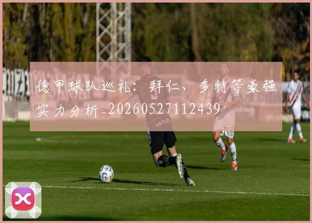 德甲球队巡礼：拜仁、多特等豪强实力分析_20260527112439