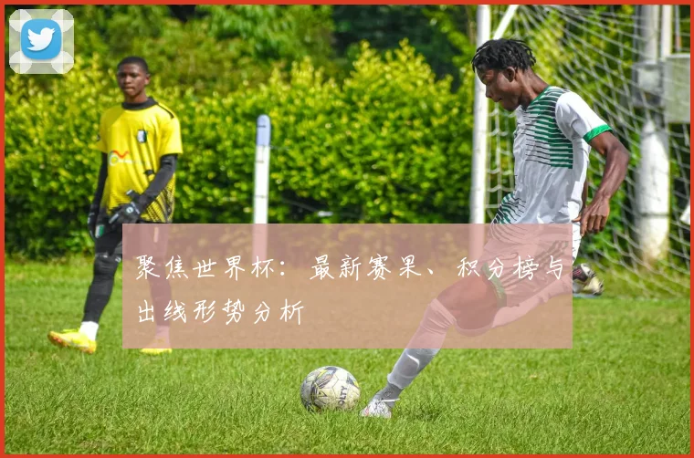 聚焦世界杯：最新赛果、积分榜与出线形势分析